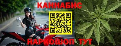 стаф Вязьма