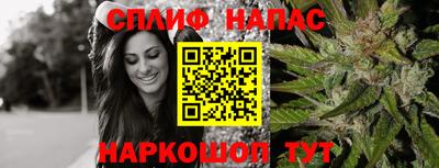 стаф Вязьма