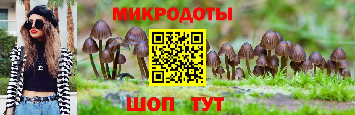 Истра  Галлюциногенные грибы Magic Shrooms  купить  сайты  Вход с VPN 